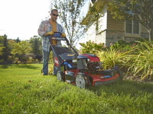 What Services Do Lawn Care Companies Provide